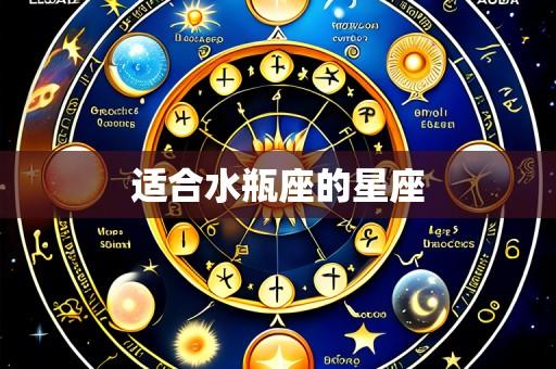 适合水瓶座的星座