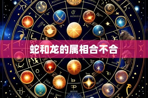 蛇和龙的属相合不合