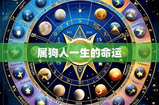 属狗人一生的命运