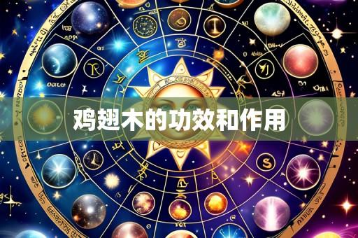 鸡翅木的功效和作用