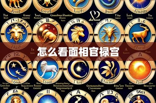 怎么看面相官禄宫