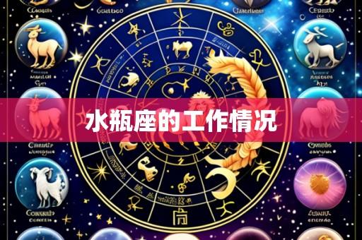水瓶座的工作情况