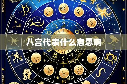 八宫代表什么意思啊