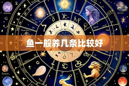 鱼一般养几条比较好