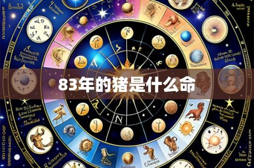 83年的猪是什么命