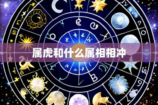 属虎和什么属相相冲