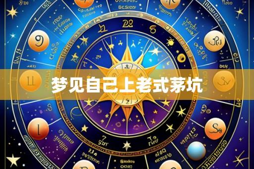梦见自己上老式茅坑