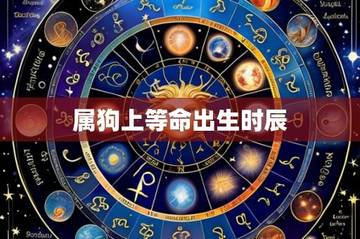属狗上等命出生时辰