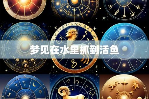 梦见在水里抓到活鱼