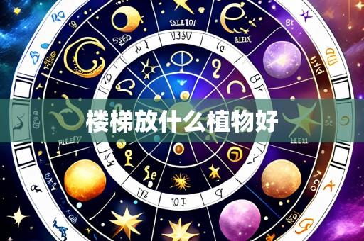 楼梯放什么植物好