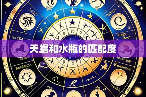 天蝎和水瓶的匹配度