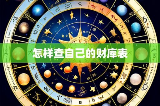 怎样查自己的财库表