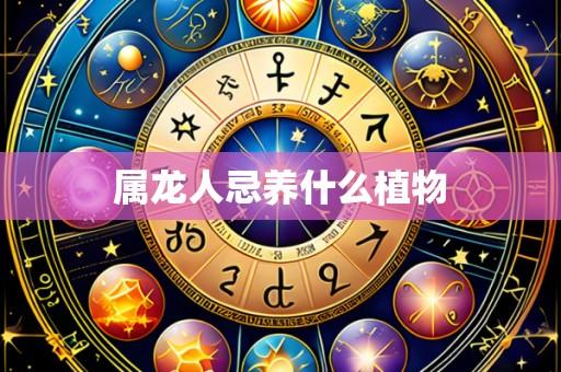 属龙人忌养什么植物