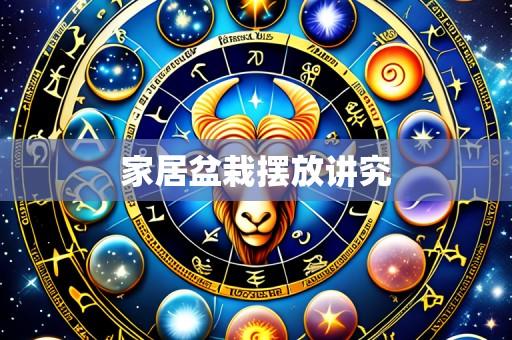 家居盆栽摆放讲究