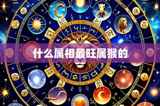 什么属相最旺属猴的