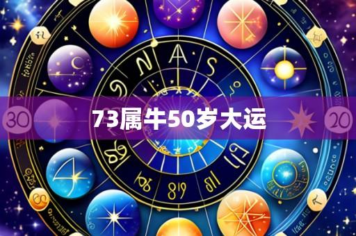 73属牛50岁大运