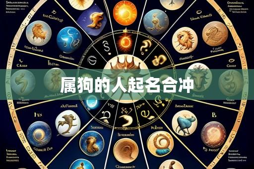 属狗的人起名合冲