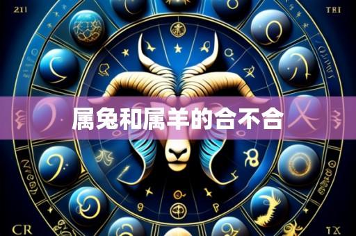 属兔和属羊的合不合