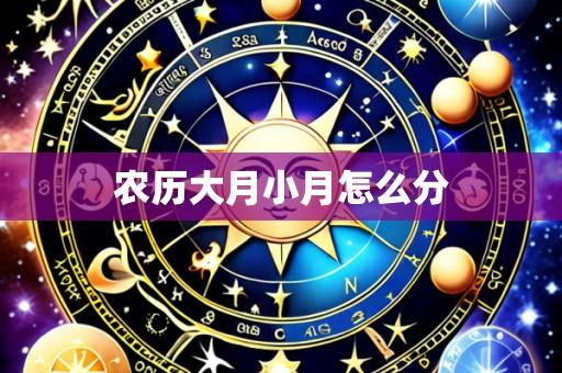农历大月小月怎么分