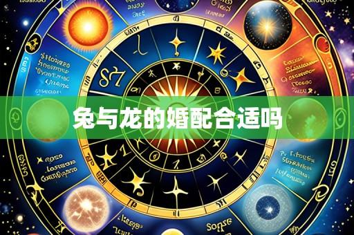 兔与龙的婚配合适吗