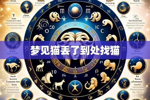 梦见猫丢了到处找猫