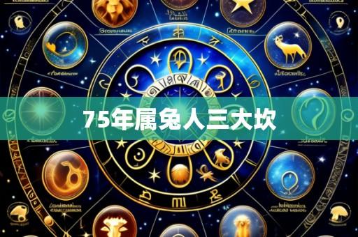 75年属兔人三大坎