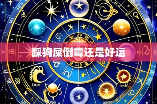 踩狗屎倒霉还是好运