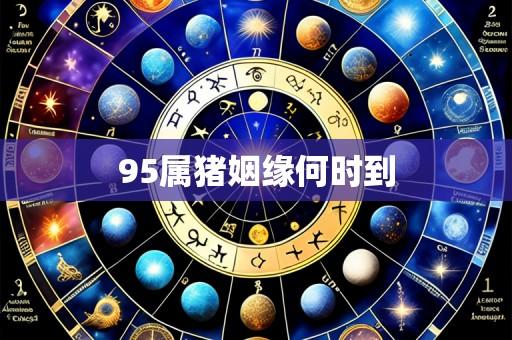 95属猪姻缘何时到