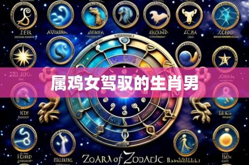 属鸡女驾驭的生肖男