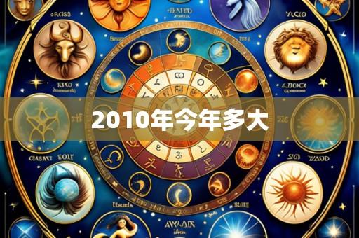 2010年今年多大