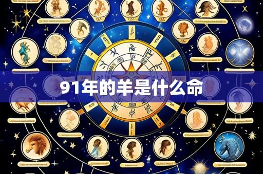 91年的羊是什么命