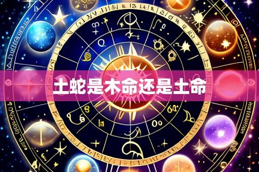土蛇是木命还是土命