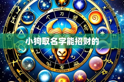 小狗取名字能招财的