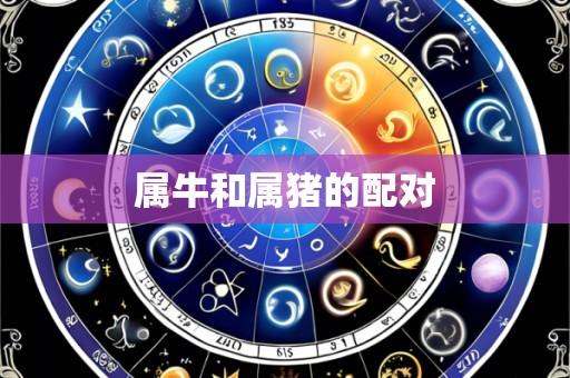 属牛和属猪的配对