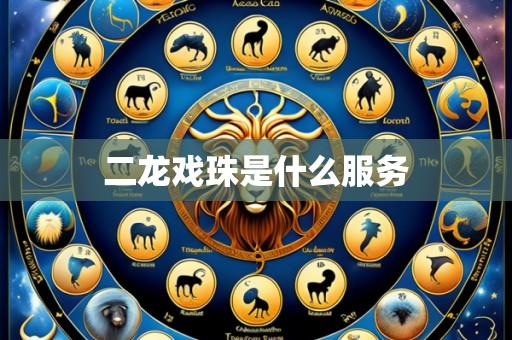 二龙戏珠是什么服务