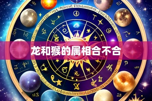 龙和猴的属相合不合