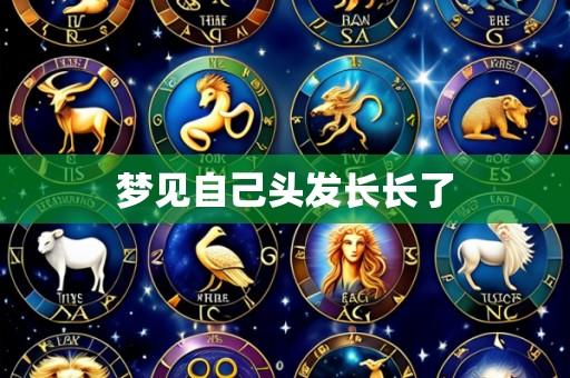 梦见自己头发长长了