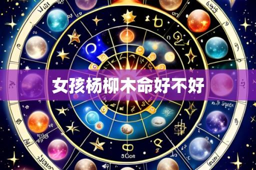 女孩杨柳木命好不好