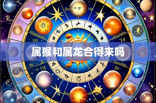 属猴和属龙合得来吗