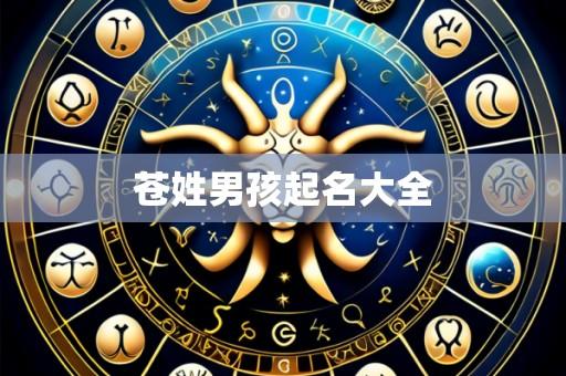 苍姓男孩起名大全