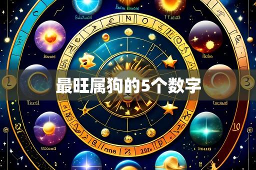 最旺属狗的5个数字