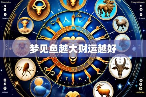 梦见鱼越大财运越好