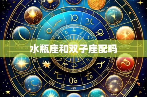 水瓶座和双子座配吗
