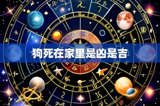 狗死在家里是凶是吉