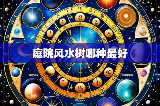 庭院风水树哪种最好