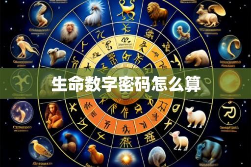 生命数字密码怎么算