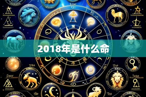2018年是什么命