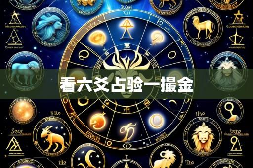 看六爻占验一撮金