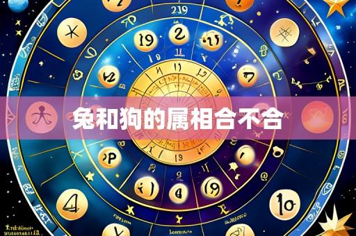 兔和狗的属相合不合