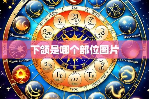 下颌是哪个部位图片